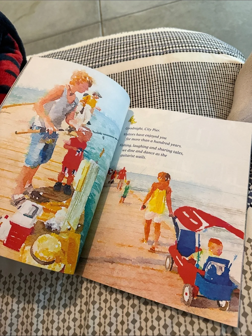 Goodnight Anna Maria Island Children's Book by Phyllis Chandler Grey new